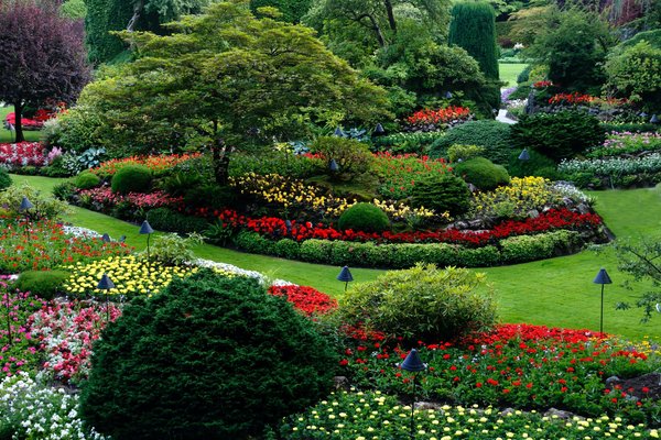comment planter et entretenir un jardin de plantes vivaces pour un jardinage facile
