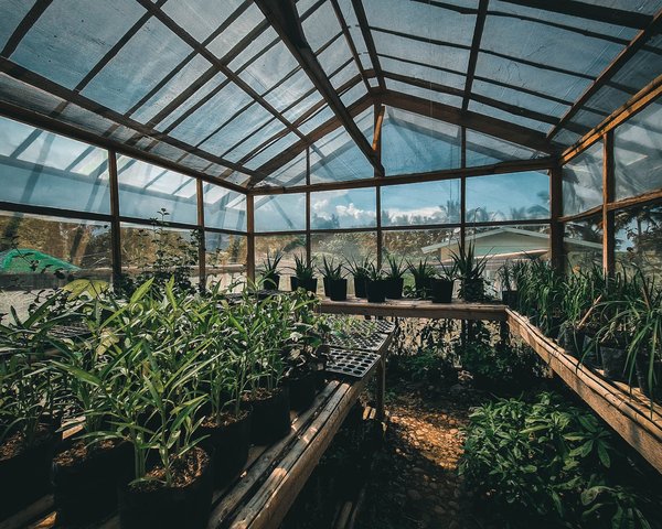 comment construire une serre dans votre jardin pour prolonger la saison de croissance