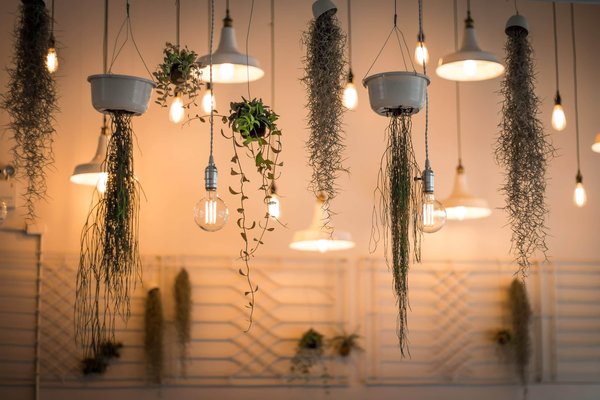 Comment utiliser les plantes artificielles dans votre décoration