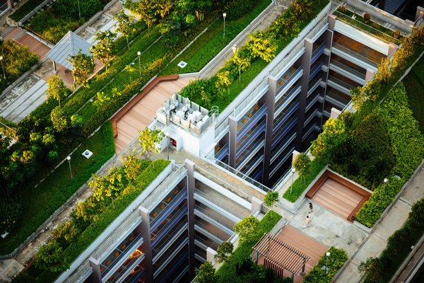 Comment aménager un petit jardin urbain sur son toit ?
